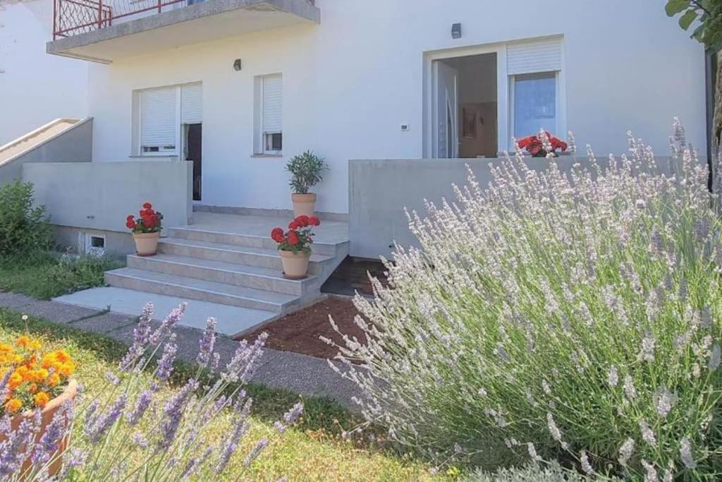 App Racy Apartment Umag Exterior foto