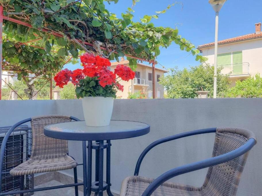 App Racy Apartment Umag Exterior foto